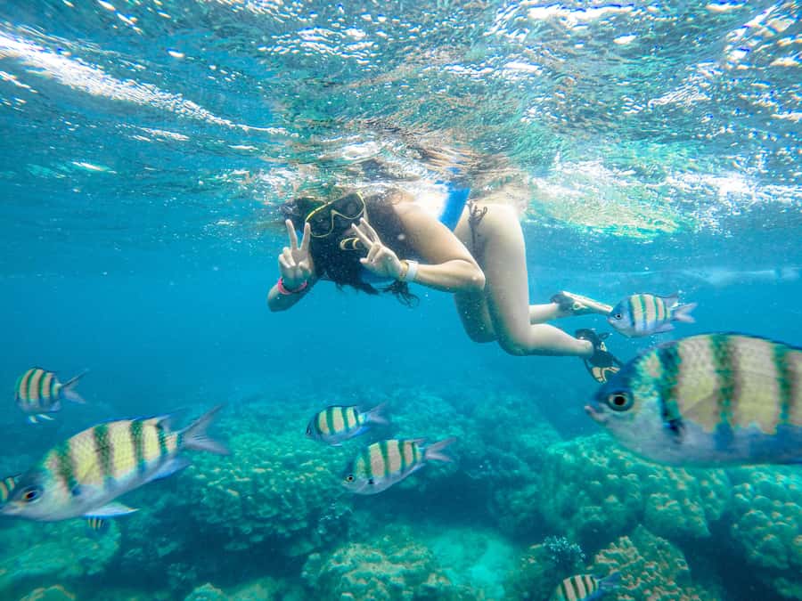 Phuket: Phi Phi Sunrise Boat Tour to Bamboo and Khai Island - Pileh Lagoon and the first swims