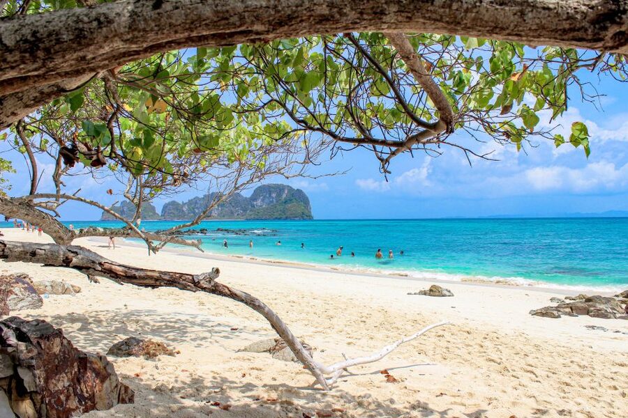 Phuket: Phi Phi Sunrise Boat Tour to Bamboo and Khai Island - Phi Phi Don, Monkey Beach, and lunch
