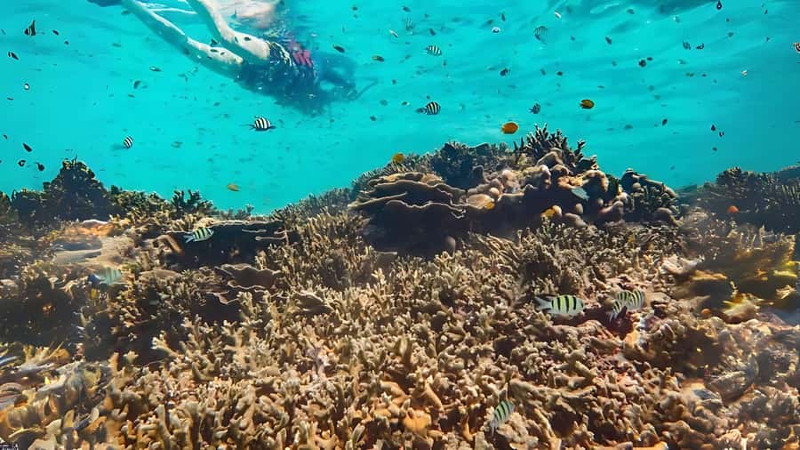 Phuket: Similan Island by Speedboat - The speedboat, group size, and comfort question