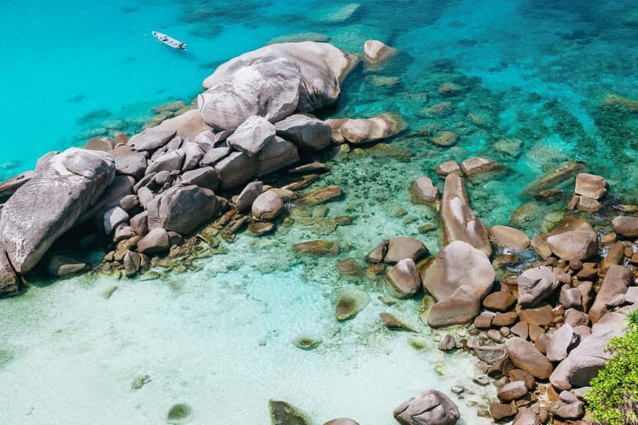 Phuket: Similan Islands Day Tour by Speedboat with Lunch - Who should book this Similan Islands tour