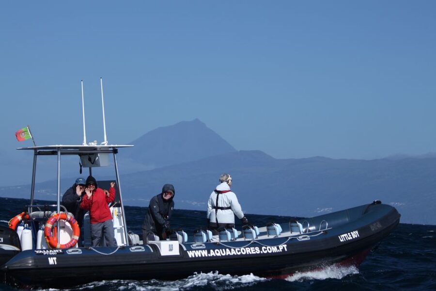 Pico Island: Azores Whale & Dolphin Watching on Zodiac Boat - Key points to know before you book