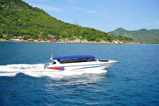 Pig Island Experience By Speed Boat, Snorkeling, Kayaking Relaxing on the Beach - Who will enjoy this most