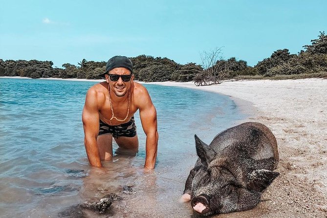 Pig Island Experience By Speed Boat, Snorkeling, Kayaking Relaxing on the Beach - Koh Tan snorkeling comes first