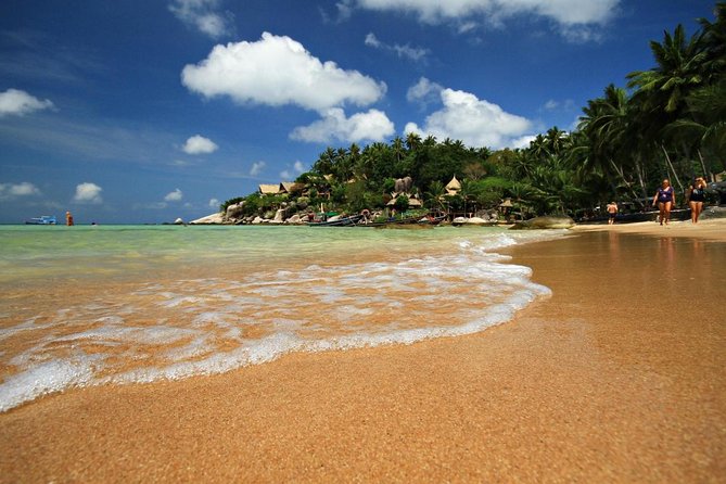Pig Island Tour by Speedboat with Snorkeling - What makes this Koh Samui boat trip worth considering