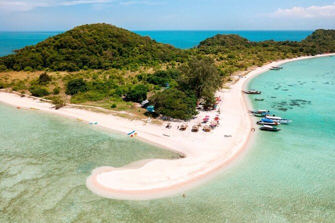 Pig Island Tour by Speedboat with Snorkeling - Meeting Koh Madsum’s famous pigs