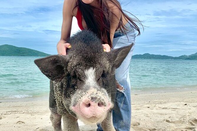 Pig Island Tour by Speedboat with Snorkeling - Snorkeling near Koh Tan