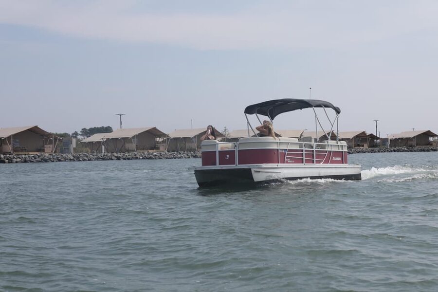 Pontoon Boat Rentals in Chincoteague Island, VA - Dolphins, coastal wildlife, and the search on the water