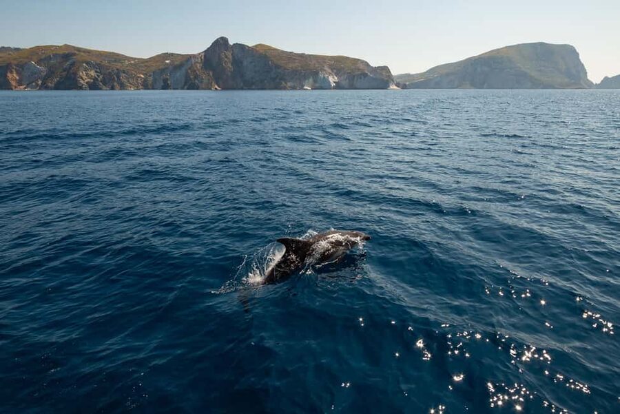 Ponza: Palmarola & Ponza Island Cruise with Swimming & Lunch - Why this cruise works for a first look at Ponza and Palmarola