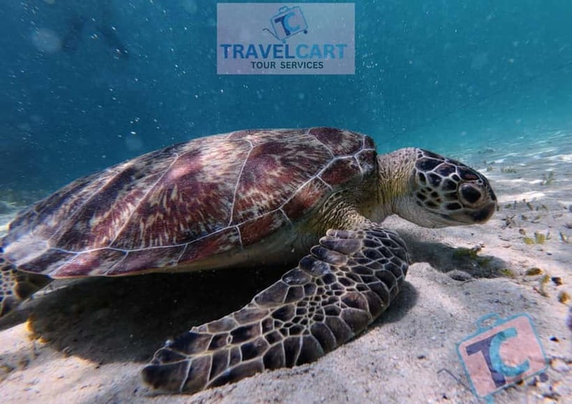 PORT BARTON: Full-day Shared Island Hopping Tour A - Maxima and Exotic Islands: sand, palms, and open water