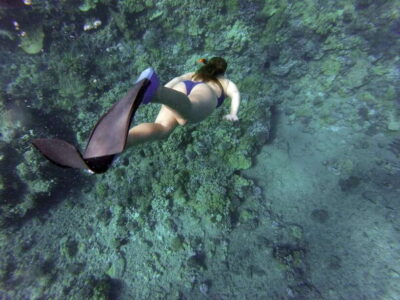Port Barton: Island Hopping to Turtle Spot & Reef with Lunch