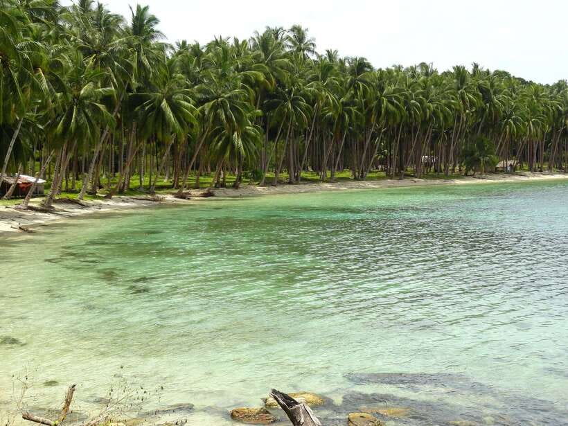 Port Barton: Island Hopping to Turtle Spot & Reef with Lunch - Turtle Spot and the ethics of seeing wildlife