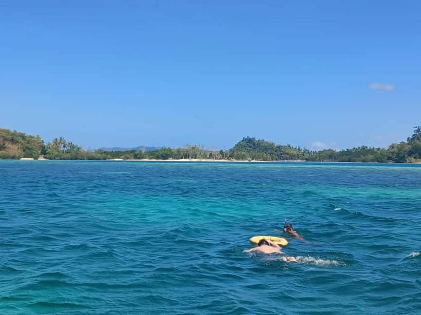 Port Barton: Island Hopping with Lunch,Hotel Transfer & Fees - The turtle stop is the day’s biggest wildlife draw