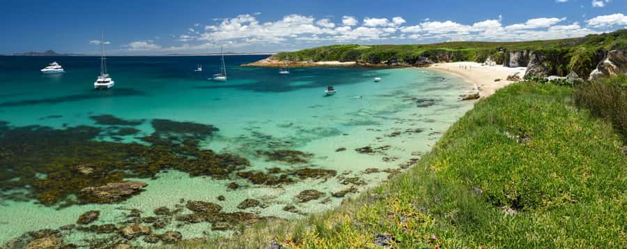 Port Stephens: Port Stephens Island Snorkel Adventure Cruise - The 3-hour schedule and what it means