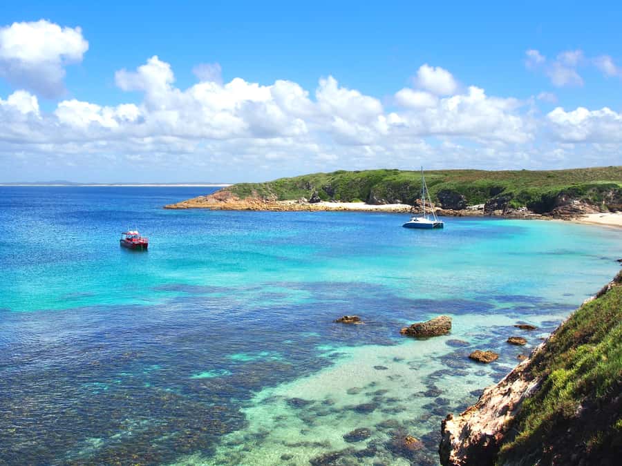 Port Stephens: Port Stephens Island Snorkel Adventure Cruise - The captain chooses between three outer islands