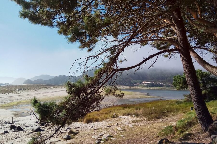 Portonovo: Ferry to Cies Islands & Rodas Beach - Food and island services near Rodas