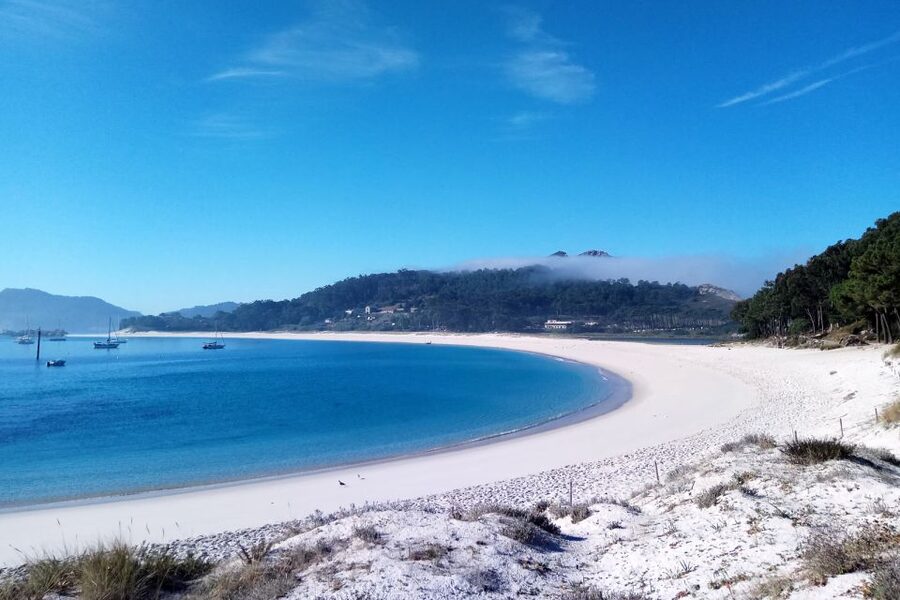 Portonovo: Ferry to Cies Islands & Rodas Beach - Who will enjoy this Cíes Islands outing?