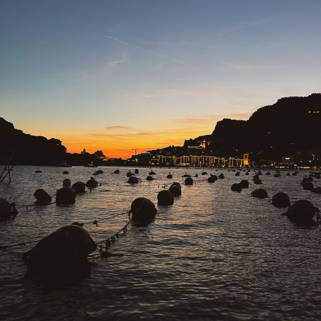 Portovenere: Palmaria Island & Lord Byron Cave Sunset Cruise - Why this sunset cruise works so well