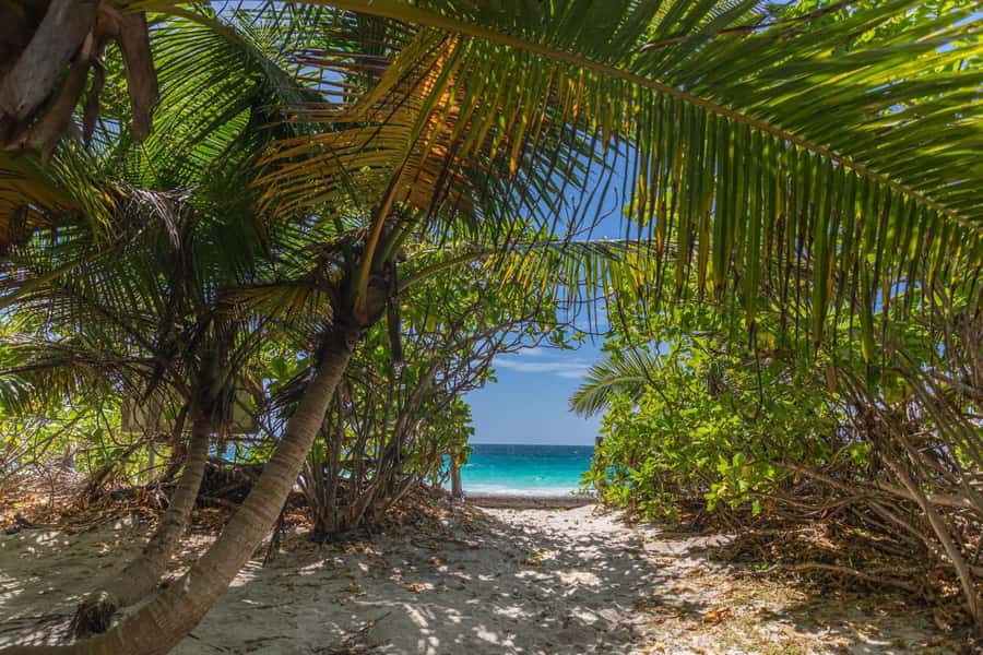 Praslin: Sister & Coco Island Full-Day Cruise and Creole BBQ - Sister Island: beach time with room to breathe