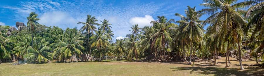 Praslin: Sister & Coco Island Full-Day Cruise and Creole BBQ - The 12:00 Creole BBQ on the beach