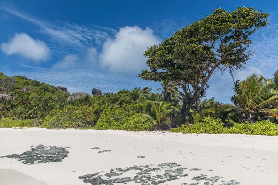 Praslin: Sister & Coco Island Full-Day Cruise and Creole BBQ - Félicité for another swim