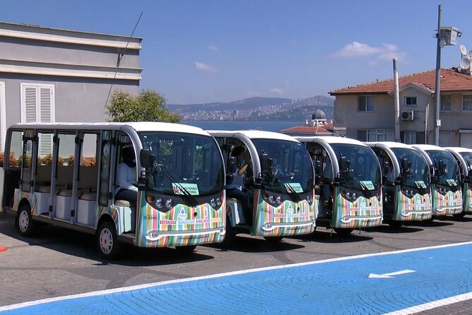 Princes Islands Tour WITH Private Boat, optional Pickup & Lunch - Leaving Istanbul for the Princes’ Islands