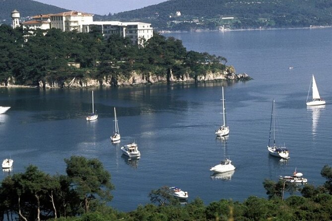 Princes Islands Tour WITH Private Boat, optional Pickup & Lunch - Who will enjoy this island day?