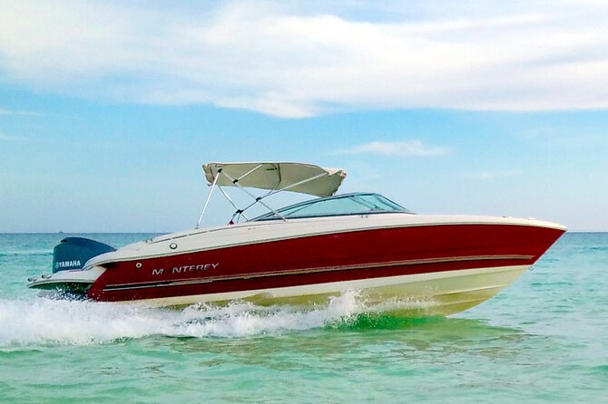 PRIVATE! | 4-hour Speed Boat Trip | Swim With Dolphins, Snorkeling & Island - What the crew and private format add