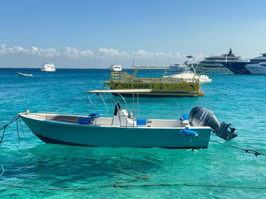 Private 4-Hour Speedboat Trip with Island Stop - One snorkeling stop in the Red Sea