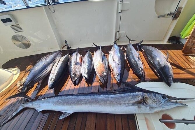 Private Boat and Fishing Tours in Greek Islands - Is the $3,470.45 Group Price Good Value?