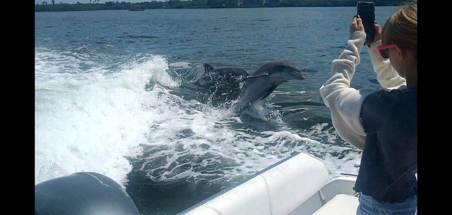 Private Boat Tour, Sunset Cruise, Island Hopping and more! - Caladesi Island and Honeymoon Island