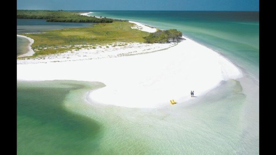 Private Boat Tour, Sunset Cruise, Island Hopping and more! - Dolphin watching without a guarantee