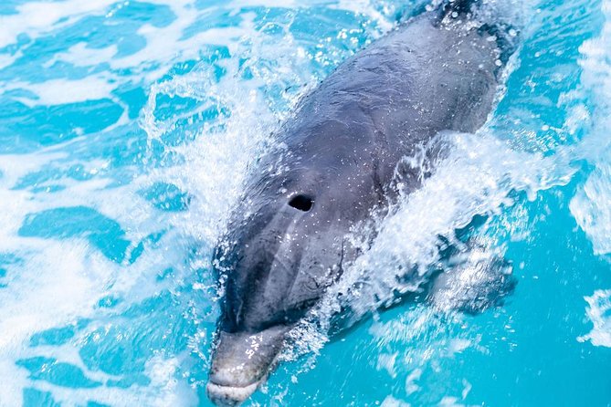 Private Boat Tours to outer islands, snacks drinks- snorkel- cruise! - Weather, Comfort, and What to Bring