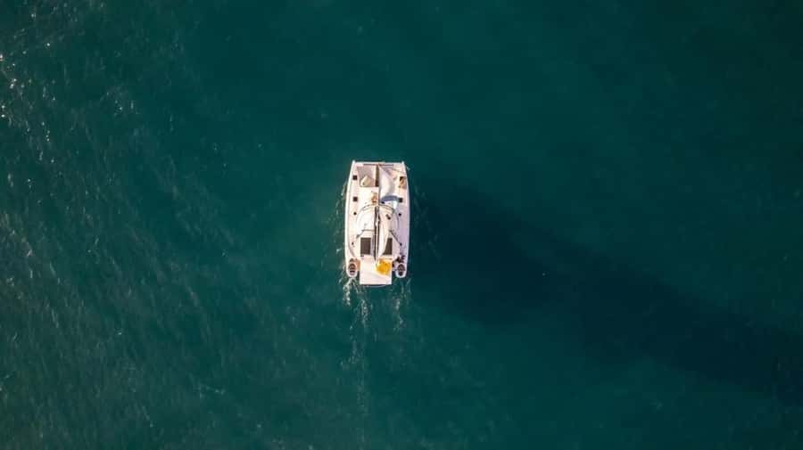 Private Catamaran to Coral Island Full Day - Who will enjoy this day most