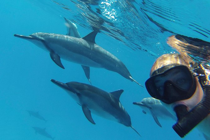 Private Charter: Customizable Big Island Boat Adventure - Snorkeling with room to set your own pace