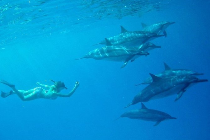 Private Charter: Customizable Big Island Boat Adventure - A crew that adds more than boat handling
