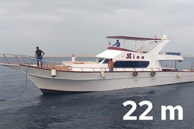 PRIVATE! | Full Day Charter Boat Trip| Up to 14 | Snorkeling and Islands tour - Omo Gamaar: your first look at Red Sea coral