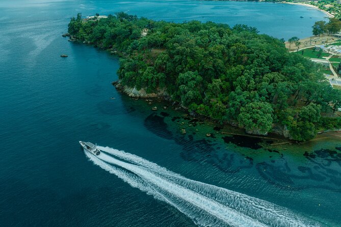 Private Half Day Cruise on a Speed Boat in Corfu island - What the $1,448.19 group price really means