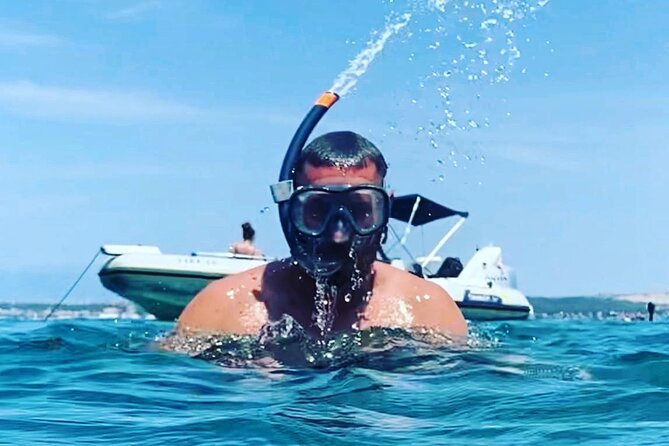 Private Half Day Speedboat tour to Zadar's Nearby Islands - Key points at a glance