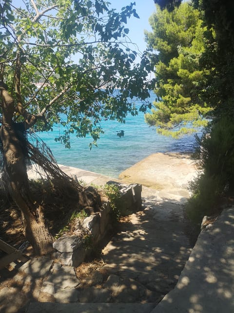 Private Island Hopping Boat tour around Zadar with Drinks - What the private format really gives you
