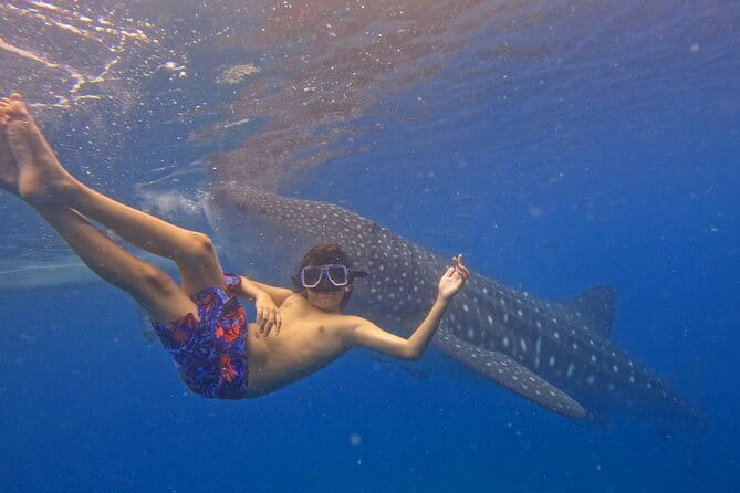Private Island Hopping in Nasuluan, Hiltotongan and Caohngan - Service concerns you should address before departure