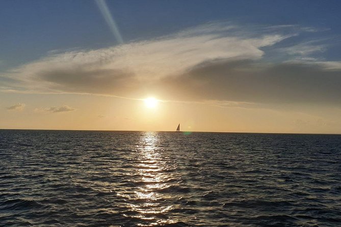 Private Luxury Catamaran - Saona or Catalina island - What The $1,990 Group Price Really Means