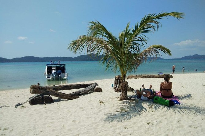 Private Speedboat Koh Tan & Pig Island Snorkeling from Samui - From Your Hotel to Thong Krut Beach