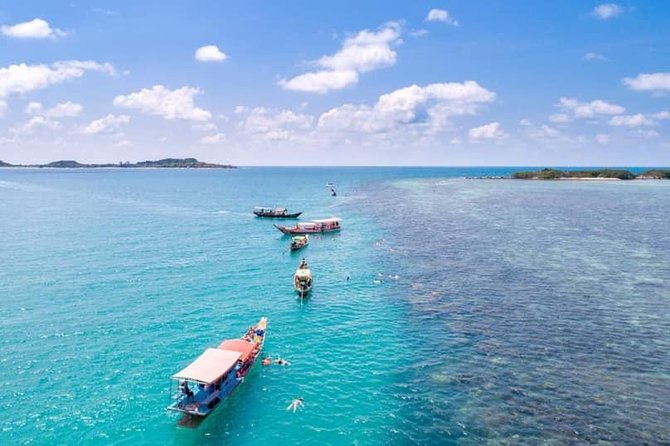 Private Speedboat Koh Tan & Pig Island Snorkeling from Samui - What the Crew Adds to the Experience