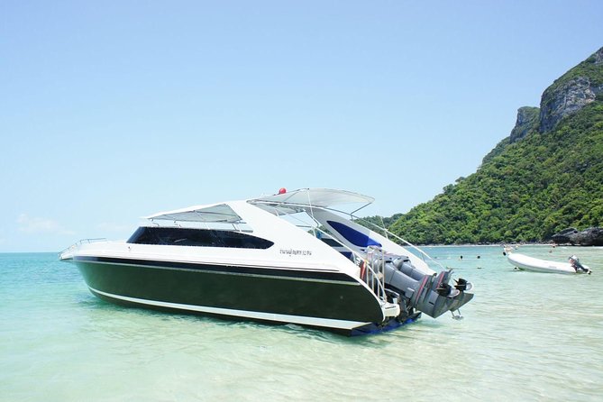Private Speedboat Koh Tan & Pig Island Snorkeling from Samui - Timing, Weather, and Cancellation