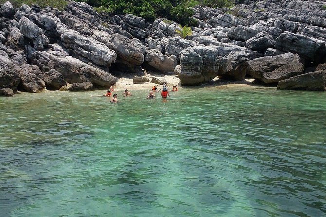 Private Speedboat Koh Tan & Pig Island Snorkeling from Samui - Who Should Book This Koh Tan Trip?