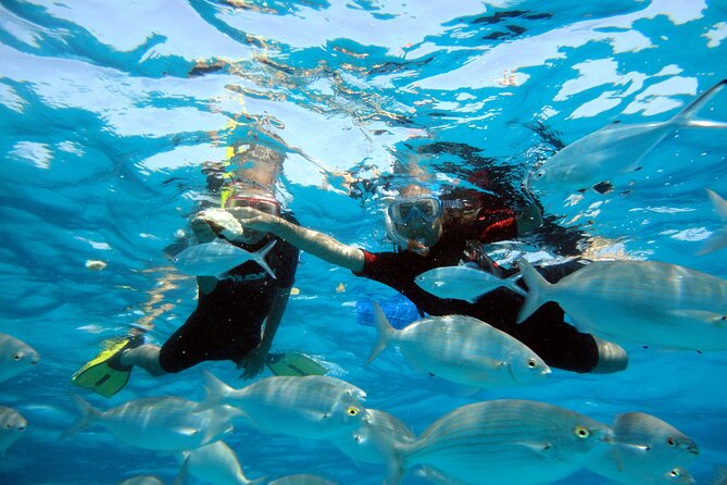 Private trips to Lobos Island in Catamaran Lagoon 421 - Reaching Lobos Island by private boat