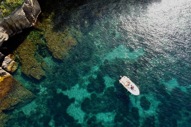 Procida Island Tour by Boat 2h 15m with Swimming and Underwater Photos - Domenico and the personal side of the trip