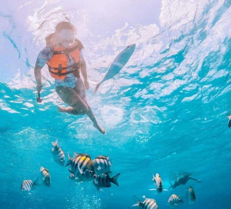 Puerto Vallarta: Los Arcos Islands Boat Tour and Snorkeling - What the guides add to the experience