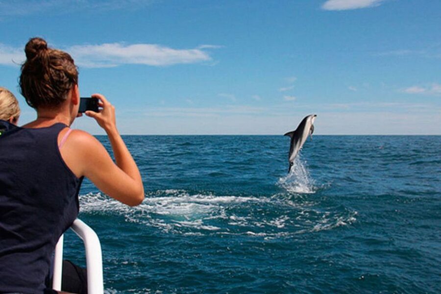 Pula: Brijuni Islands Dolphin Watching & Wildlife Cruise - Setting out from Korkyra in Pula