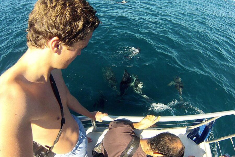 Pula: Brijuni Islands Dolphin Watching & Wildlife Cruise - Sunset on the return route